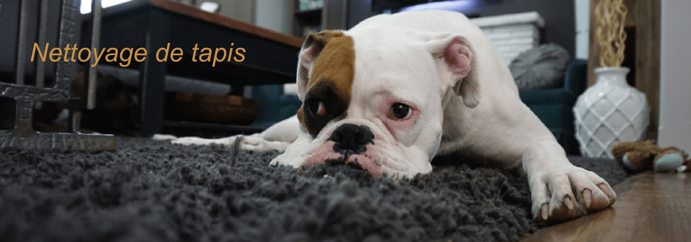 Nettoyage de tapis